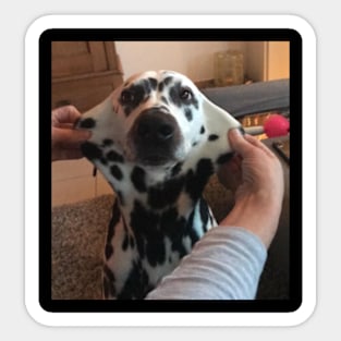 Dog Face Meme Sticker